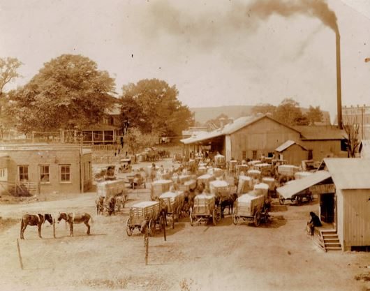 Mule-drawn wagons loaded with cotton bales crowded around the gin